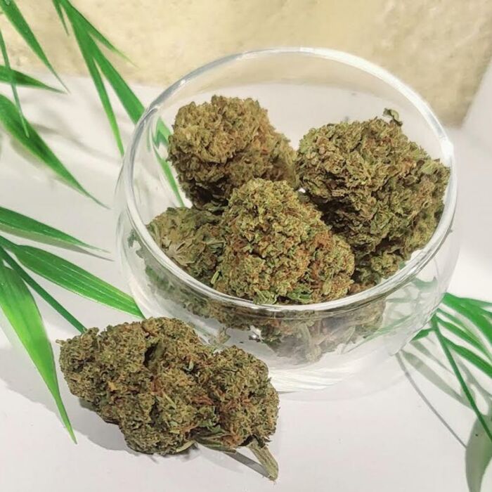 OG Kush 2023 - Fleur de CBD gard Nîmes la coupole