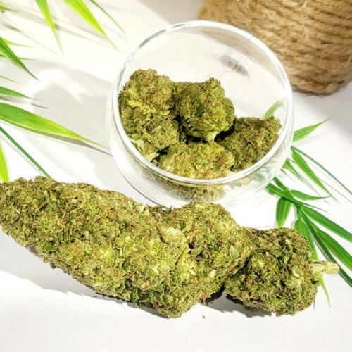 Gelato Frozen fleur de CBD gard Hérault Vaucluse Quissac Sommières