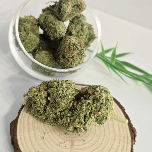 Skunk